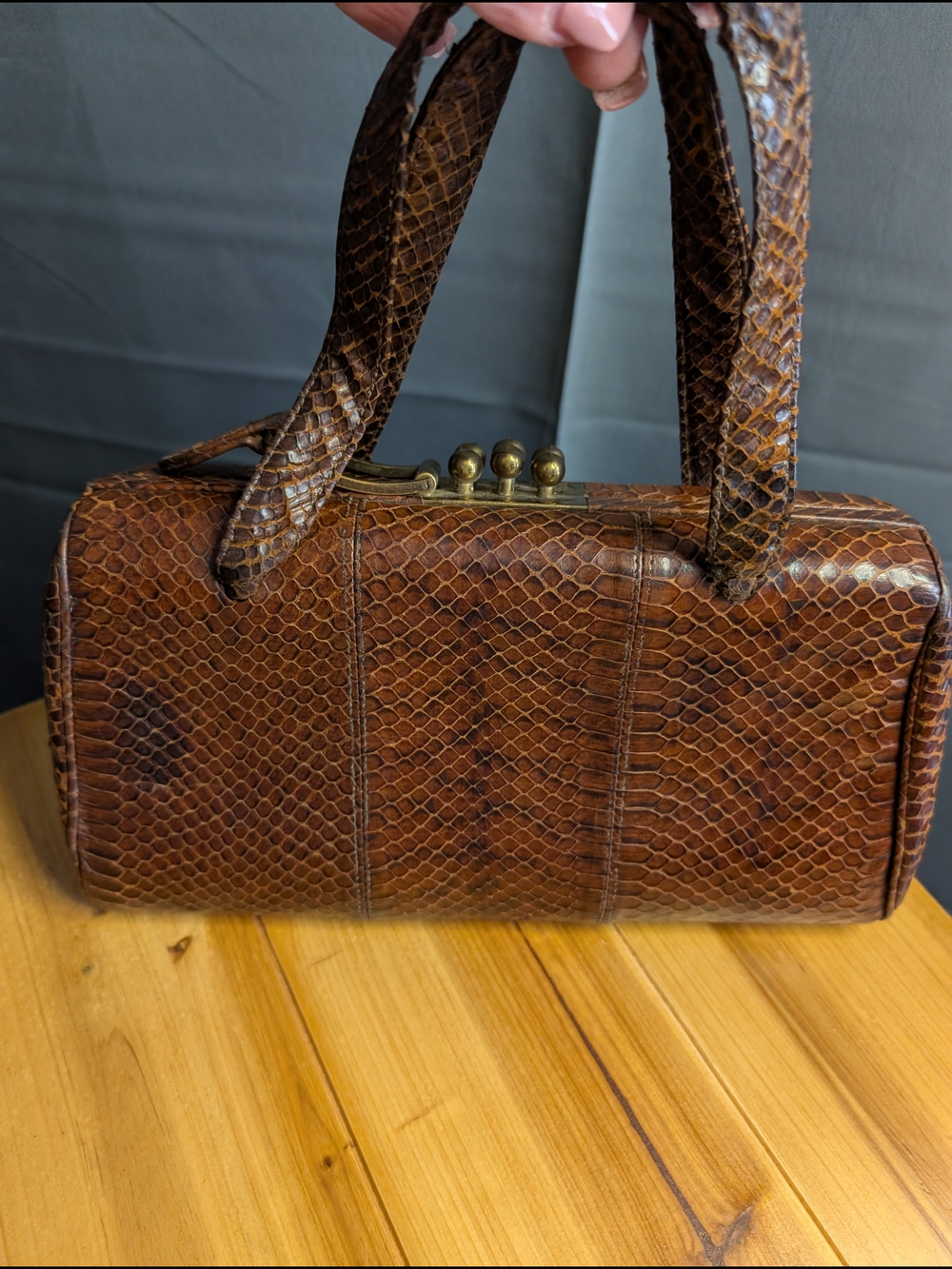 Vintage Ronay Genuine Snakeskin Reptile Leather Handbag Brass Hardware